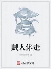 《贼人休走》封面
