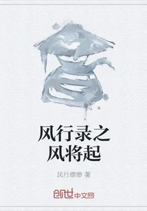 《风行录之风将起》封面