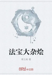 《法宝大杂烩》封面