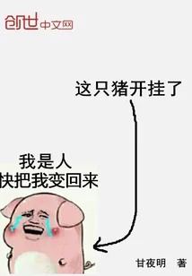 《这只猪开挂了》封面