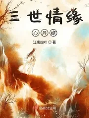 《三世情缘心丹结》封面
