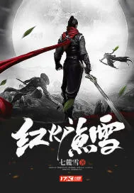 《红炉点雪》封面