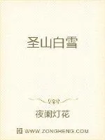 《九霄凤鸾录》封面