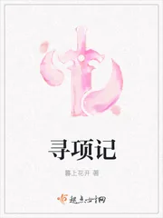 《寻项记》封面