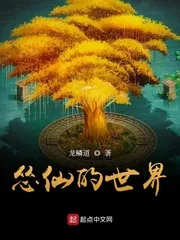 《怂仙的世界》封面
