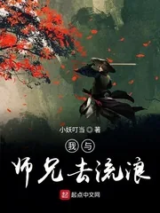 《我与师兄去流浪》封面