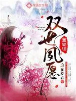 《孟婆泪：双世夙愿》封面