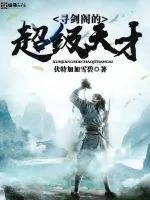 《寻剑阁的超级天才》小说封面