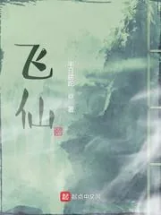 《飞仙》封面