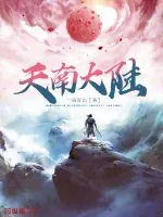 《天南大陆》小说封面
