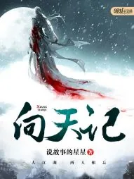 《向天记》封面