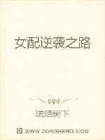 《女配逆袭之路》封面