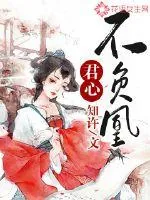 《君心不负凰》封面
