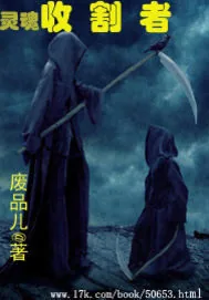 《灵魂收割者》封面