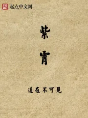 《紫霄》封面