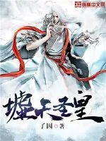 《墟天圣皇》封面