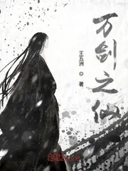《万剑之仙》封面