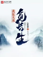 《我在大宋觅长生》封面
