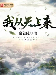 《我从天上来》封面