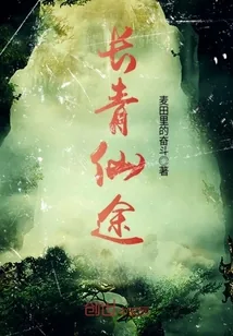 《长青仙途》封面