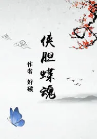 《侠胆蝶魂》封面