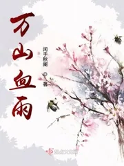《万山血雨》封面