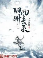 《四洲风云录》封面