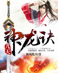 《九天神龙诀》封面