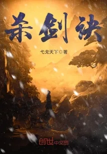 《杀剑诀》封面