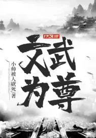 《文武为尊》封面