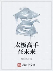 《太极高手在未来》封面