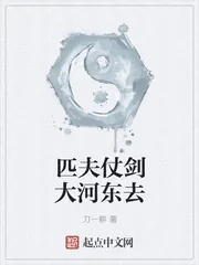 《匹夫仗剑大河东去》封面