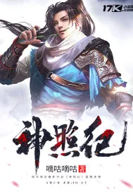 《神照纪》封面