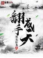 《翻手成天》封面