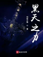 《黑天之力》小说封面