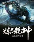 《炼尽乾坤》封面