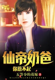 《仙帝奶爸你惹不起》封面