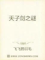 《天子剑》封面