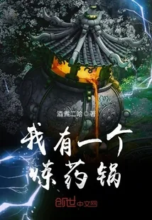 《我有一个炼药锅》封面