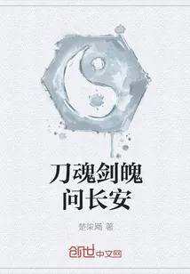 《刀魂剑魄问长安》封面