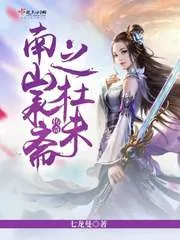 《南山承斋之杜未传奇》封面
