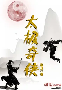 《太极奇侠》封面
