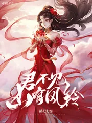 《君不见山有风铃》封面