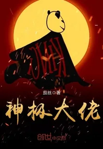 《神极大佬》封面
