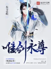 《唯剑永尊》封面