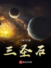 《三圣石》封面