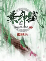 《桑神赋》封面