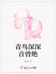 《青鸟深深音曾绝》封面