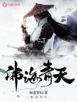 《佛海青天》封面