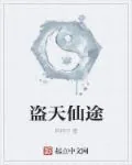《盗天仙途》封面